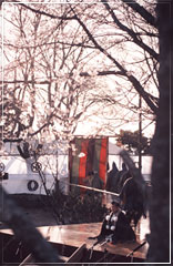 桜花能